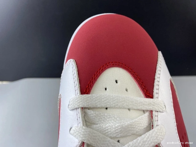 Rep RETRO 6 AIR 384664-160 2014 'CARMINE' JORDAN 0729